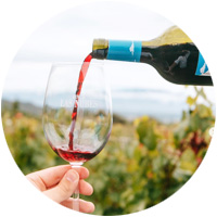 base 200x200 vinho 03