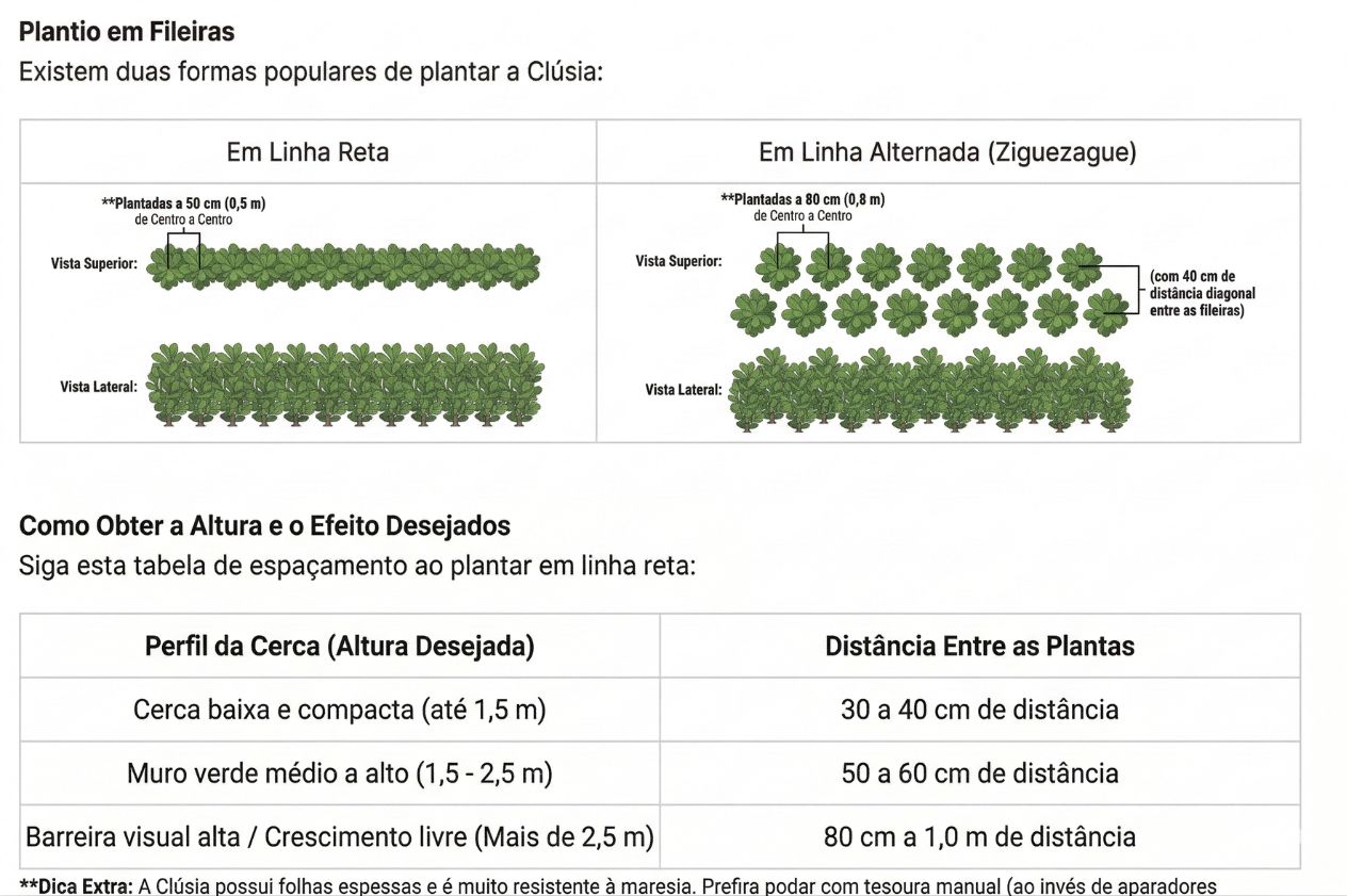 Espa&ccedil;amento Ideal Clusia