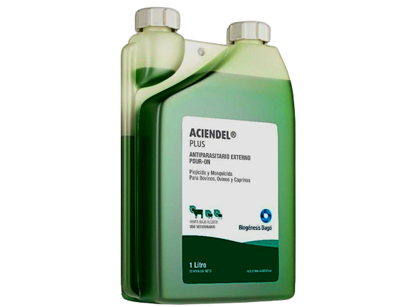 20 removebg preview 1